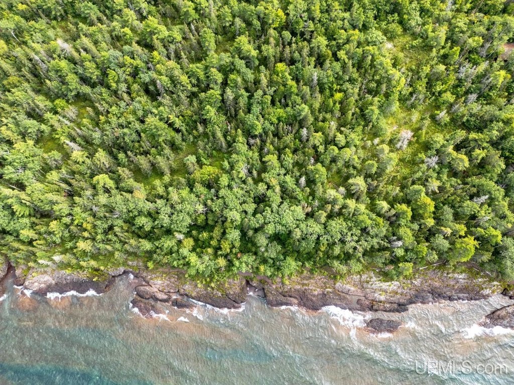 Picture 45