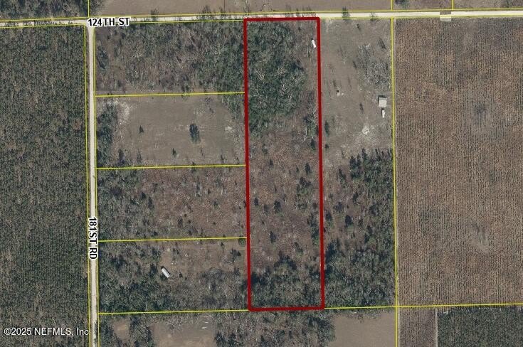 10 Acres in Suwannee County