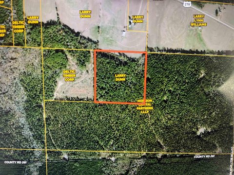 Hampton, AR 40-Acre Land