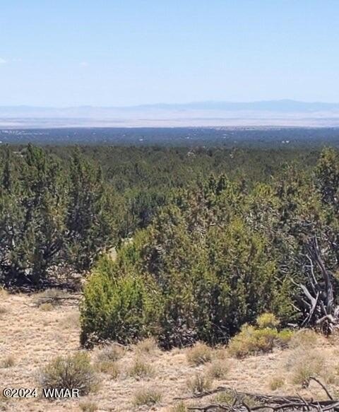 40 Acres in St. Johns
