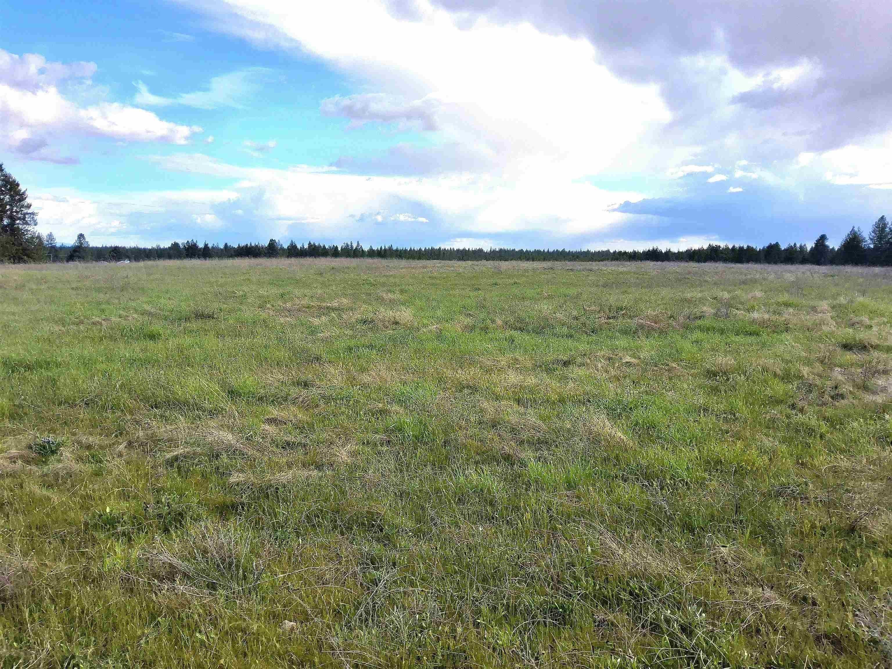 15 Acres with Mountain Views