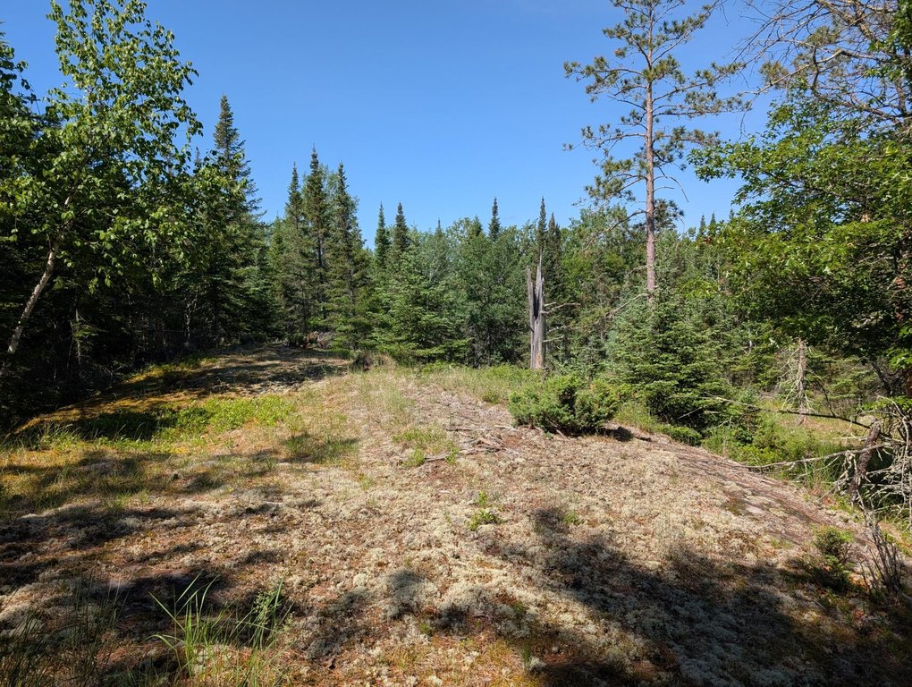 Picture 15