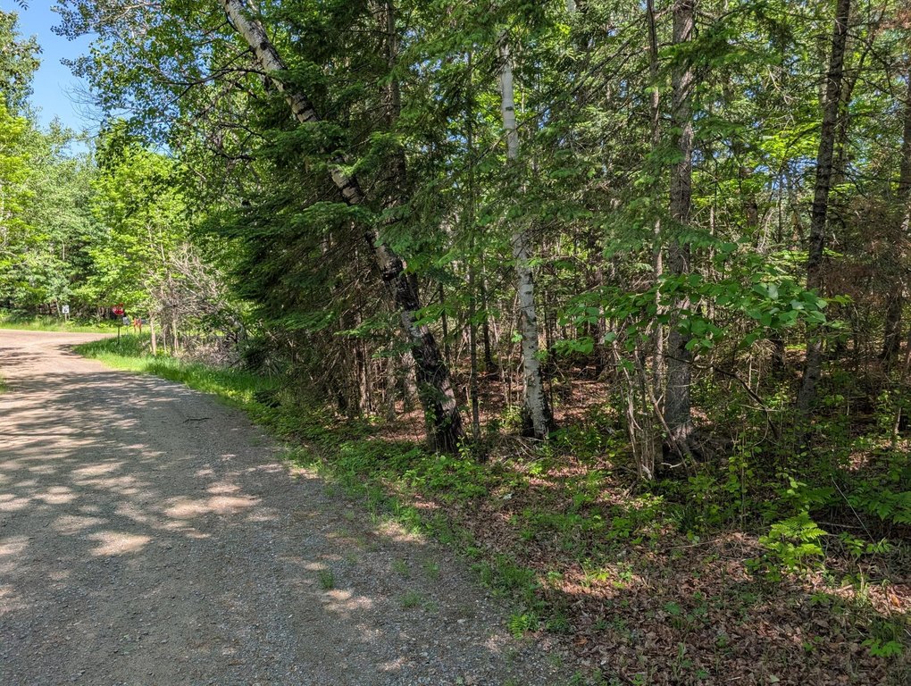 Picture 22