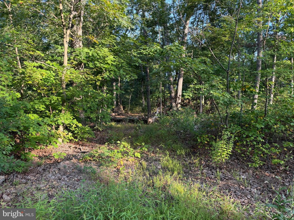 Picture 41