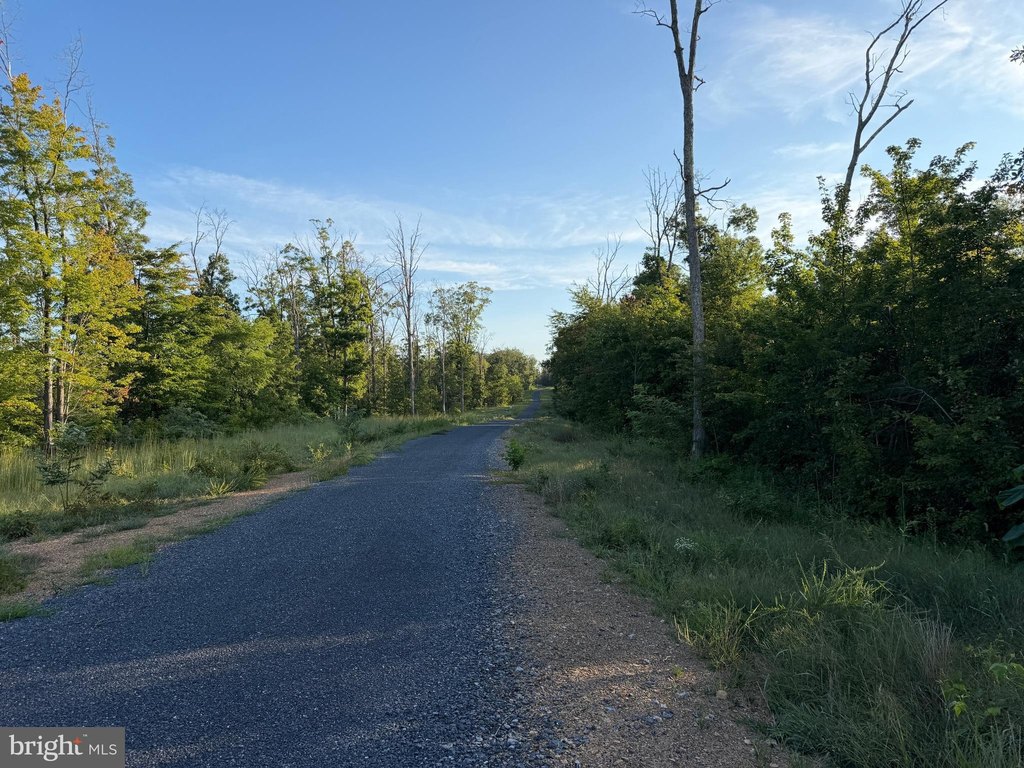 Picture 18