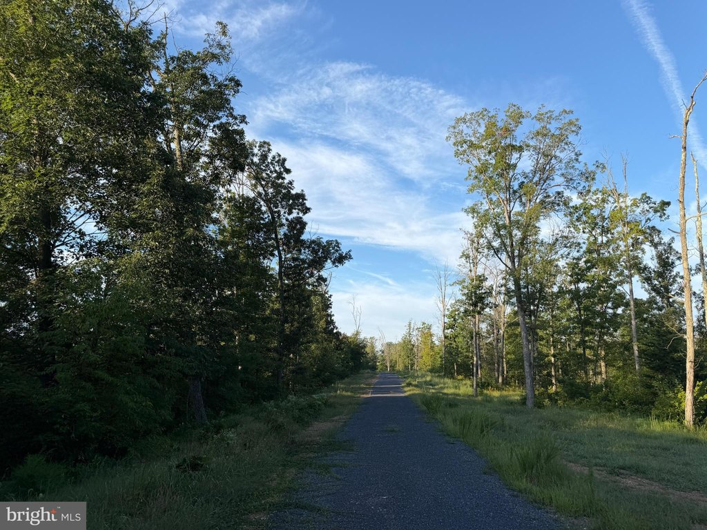 Picture 17