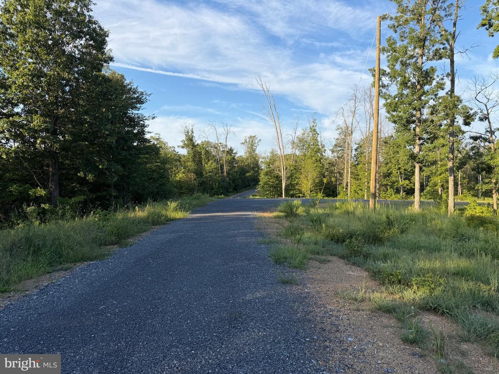 Picture 21