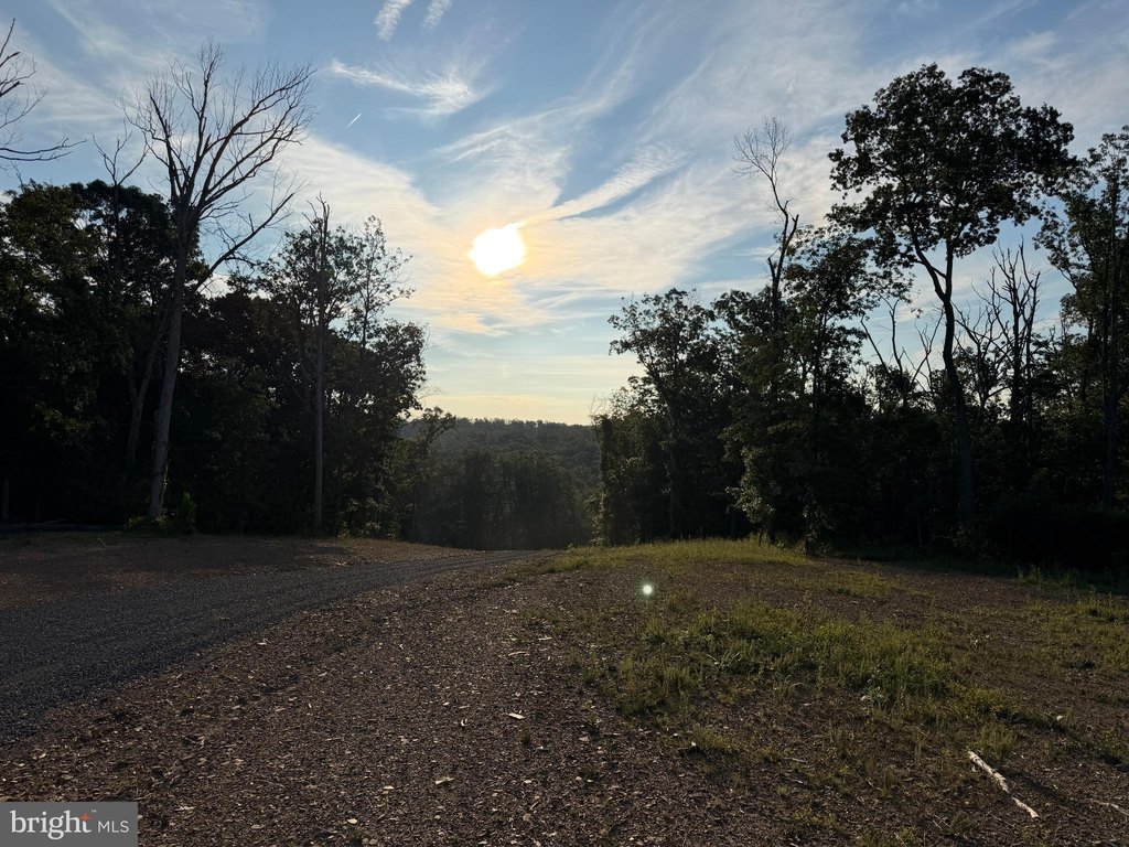 Picture 38