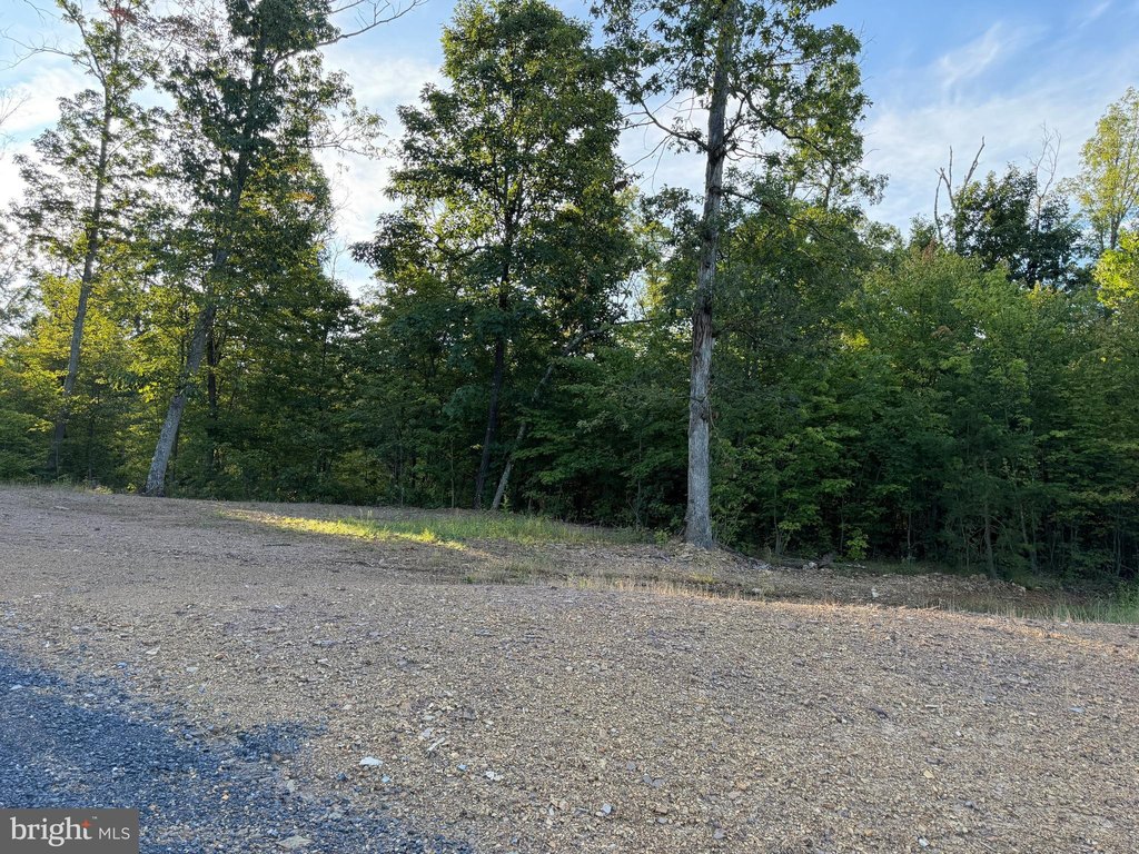 Picture 27