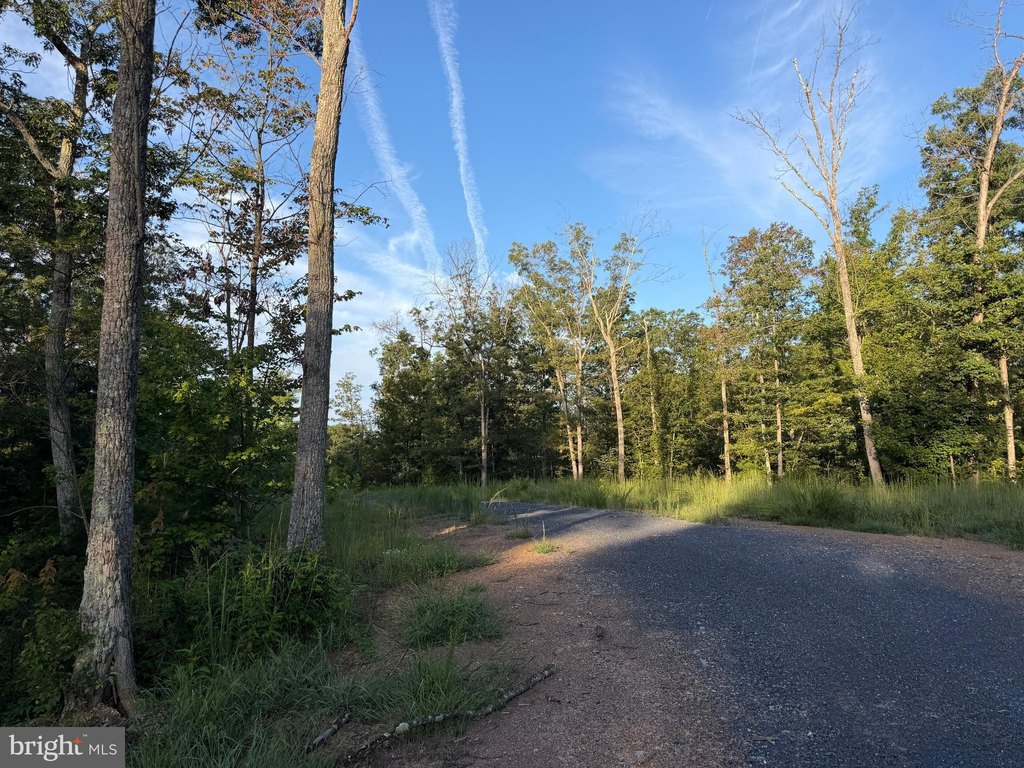 Picture 25