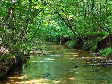 Unrestricted Land with Creek Frontage