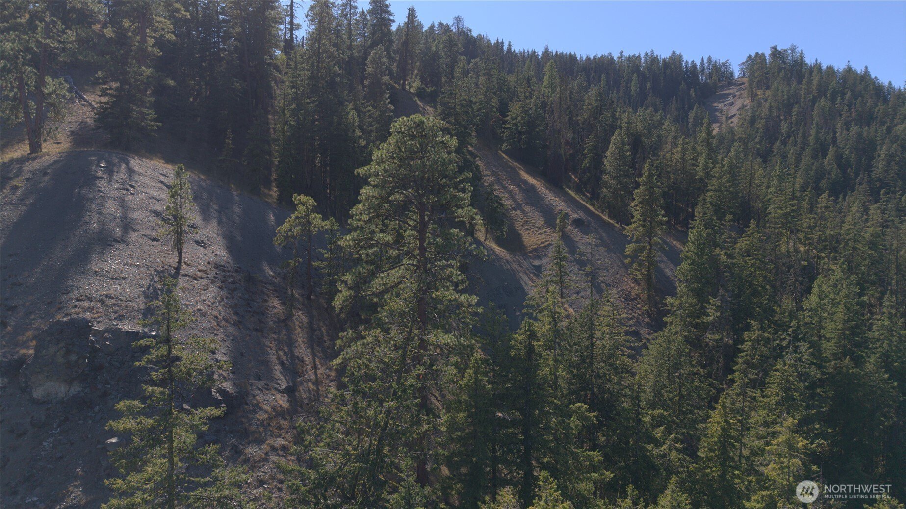 Peshastin Land with Timbered Terrain
