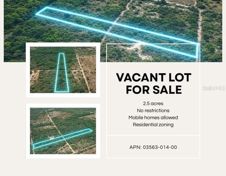 Land, Bronson, FL