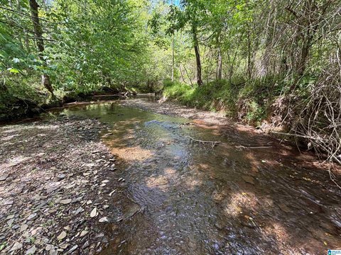Waterfront Recreational Land Parcel