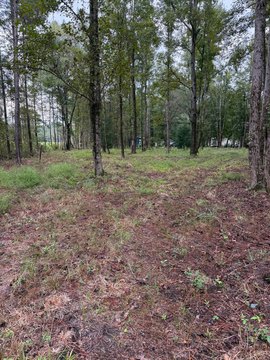 Land, Ridgeland, SC