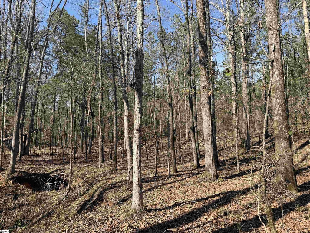 Picture 39