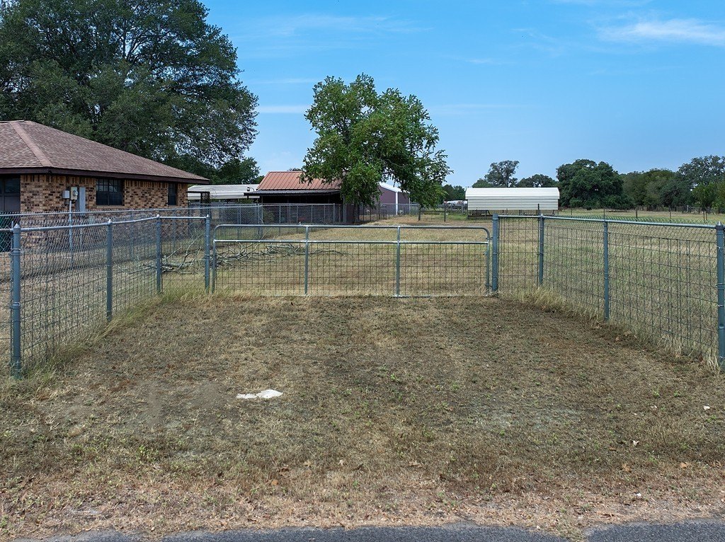 Picture 14