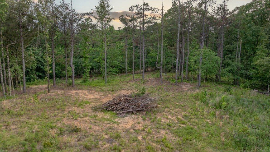 Picture 25