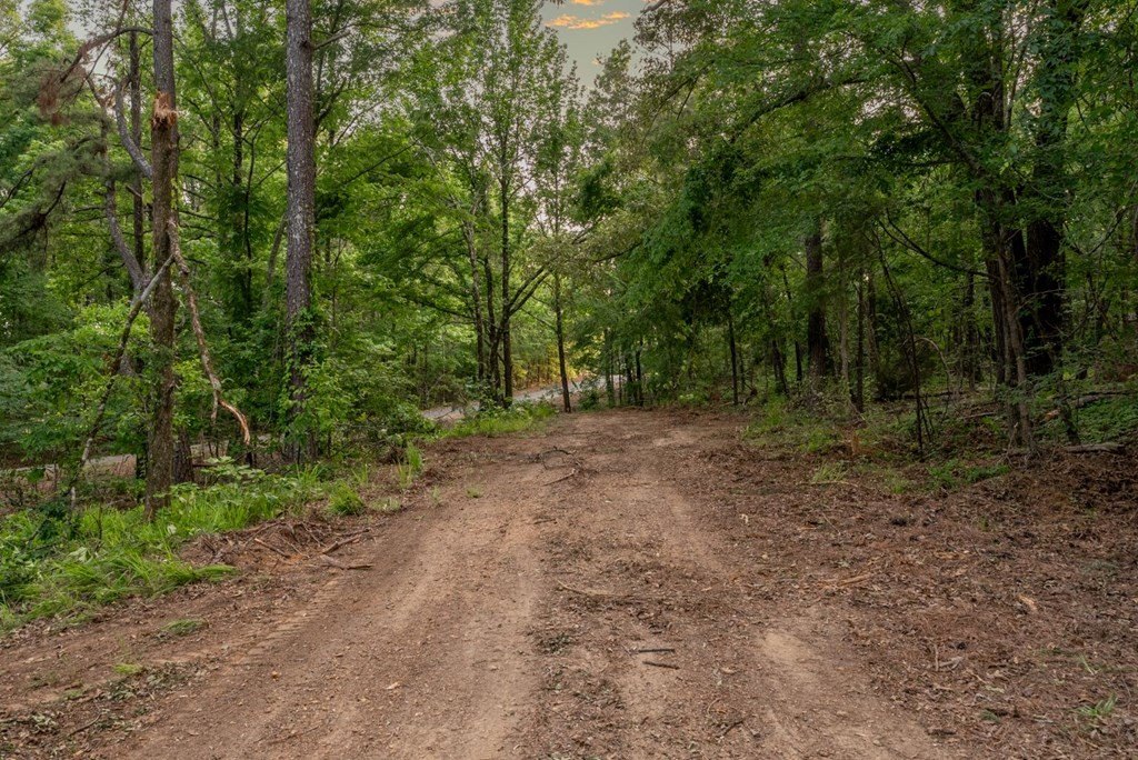 Picture 23