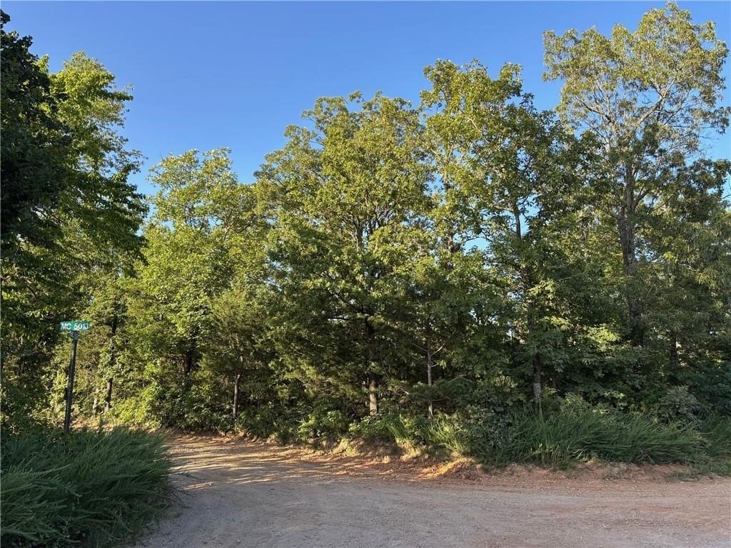 Wooded Land in Everton, AR