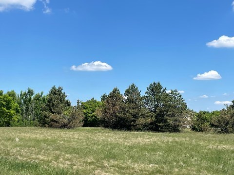 Non-Buildable Outlot Parcel