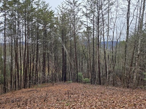 One-Acre Lot in Eagles View