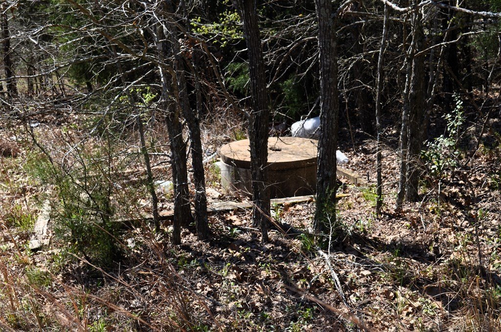 Picture 15