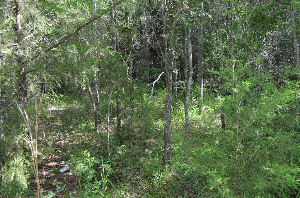 Picture 20