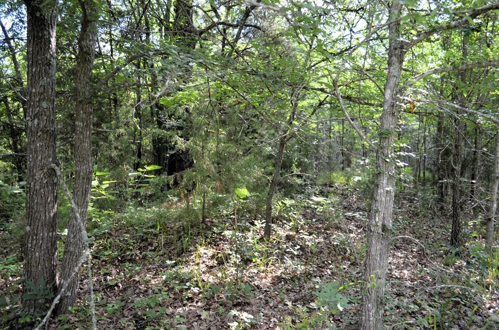 Picture 19