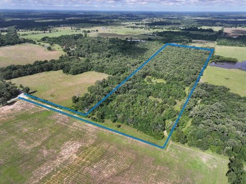 20.2 Acres Heavily Wooded Land