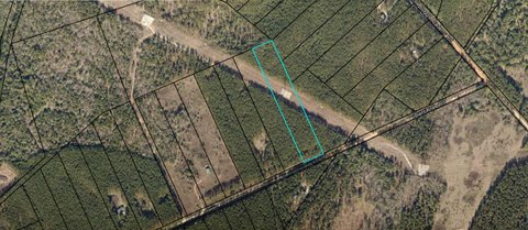 Expansive Land Parcel in Keysville