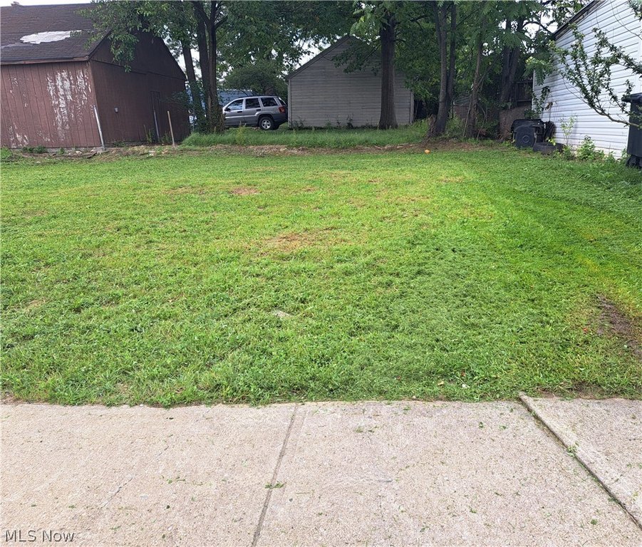 Picture 2