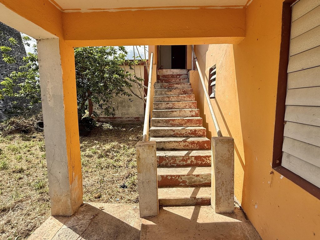 Picture 23