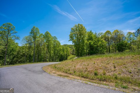 Waterfront Homesite with Creek Frontage