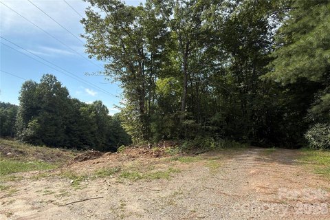 Land, Pisgah Forest, NC