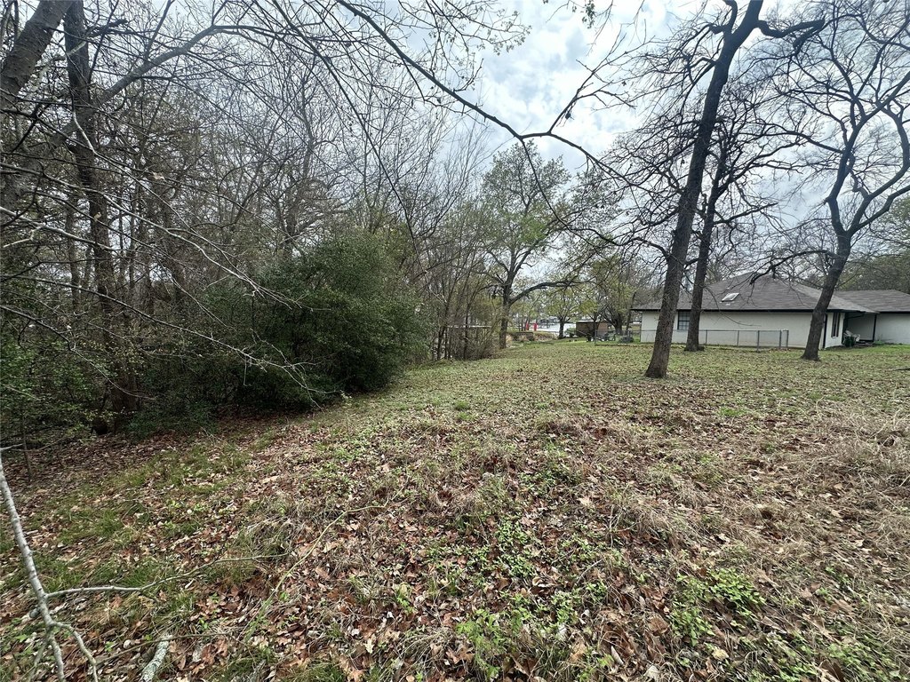 Picture 4