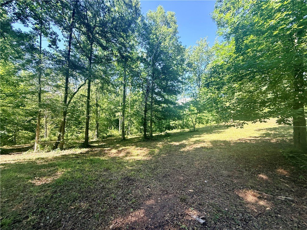 Picture 21