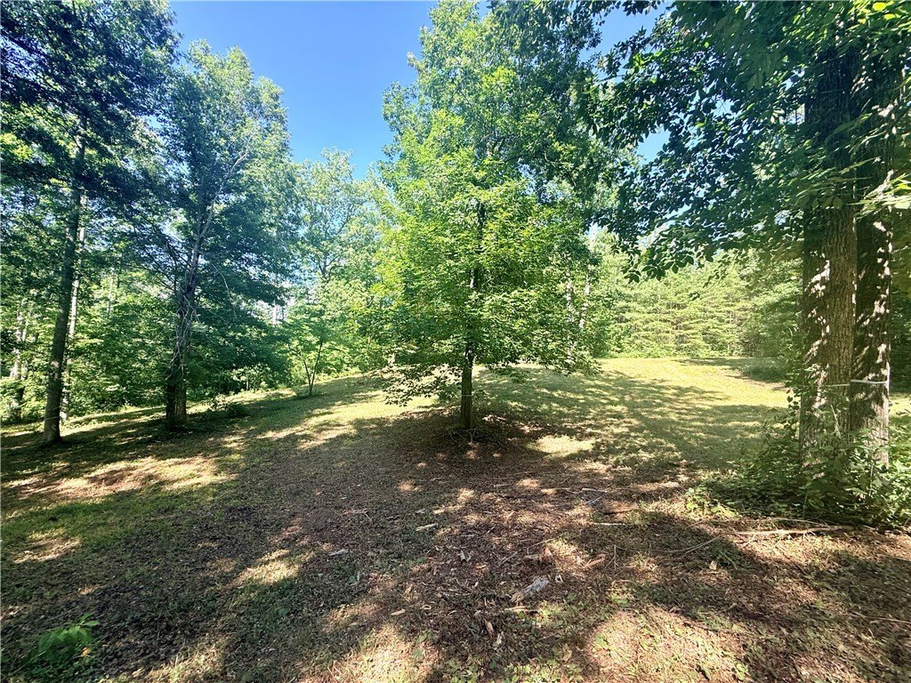Picture 19