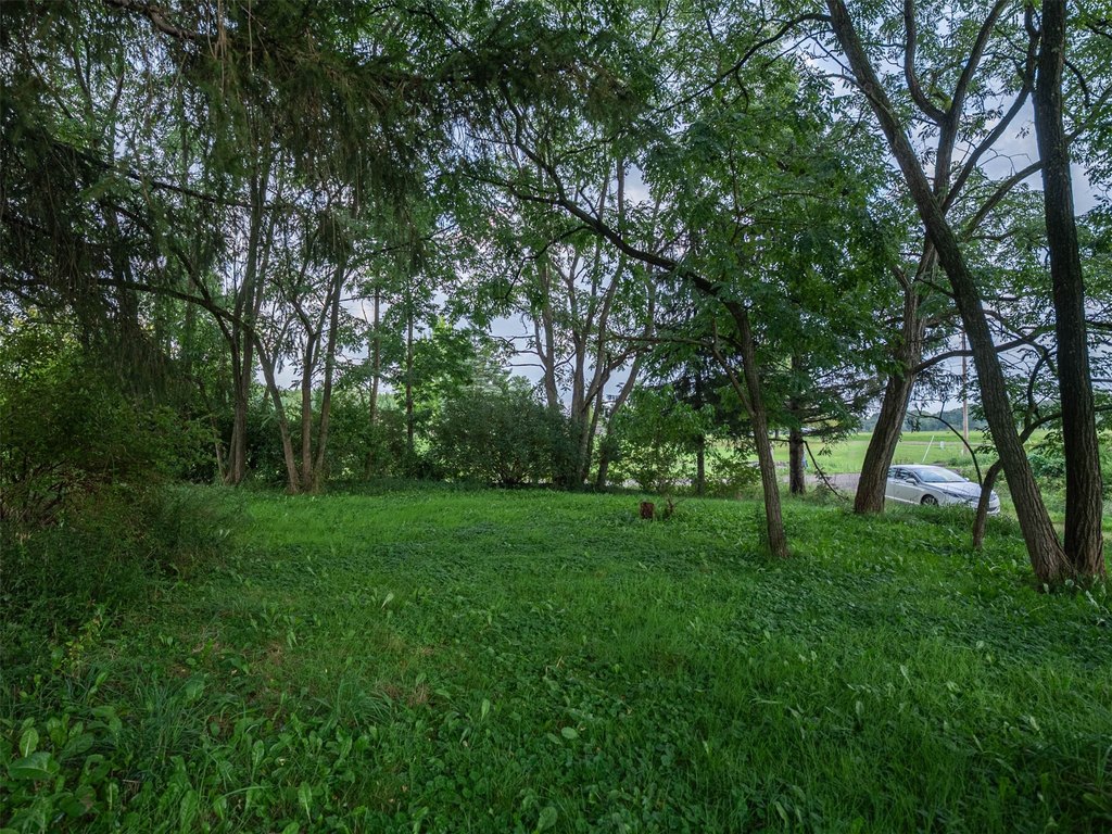 Picture 21