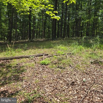 LAND - SHANKS, WV