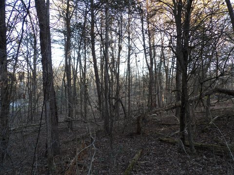Baneberry, TN Residential Lot