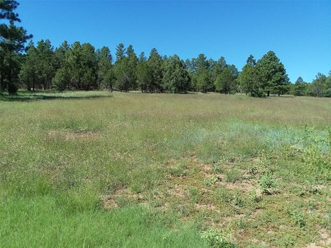 Land in Santa Fe National Forest