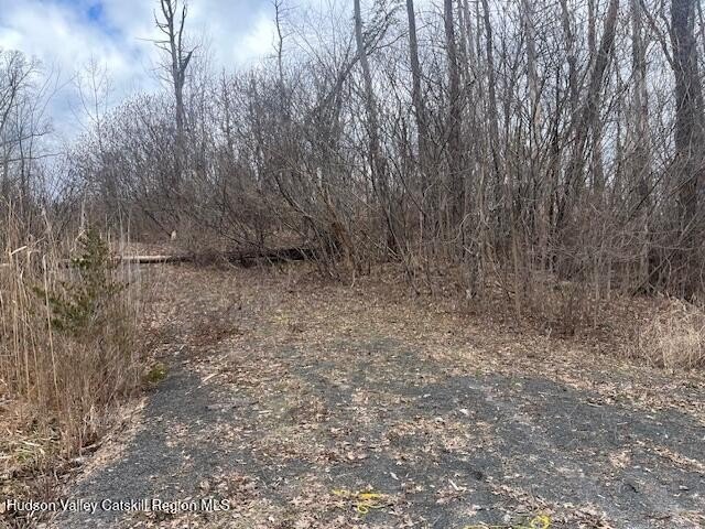 Residential Land in Coxsackie, NY