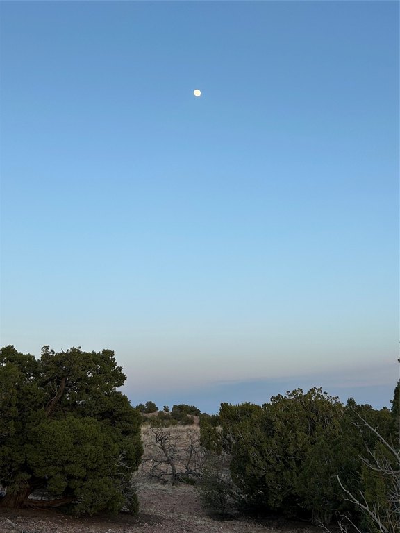 Picture 24