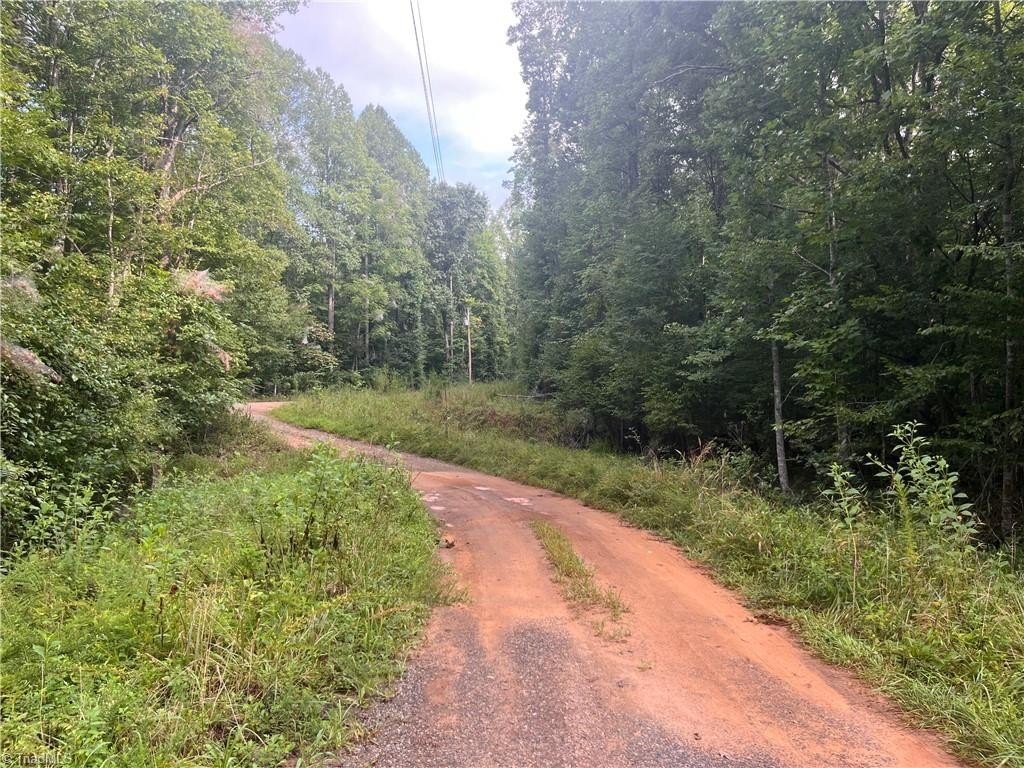 Picture 18