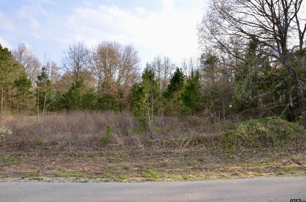 Picture 6