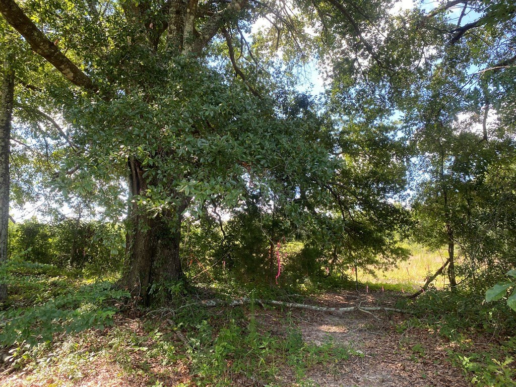 Picture 16