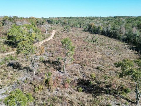 142 Acres on US Hwy 82