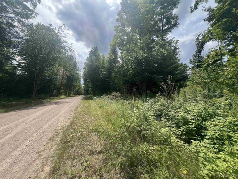 LAND - Iron River, MI