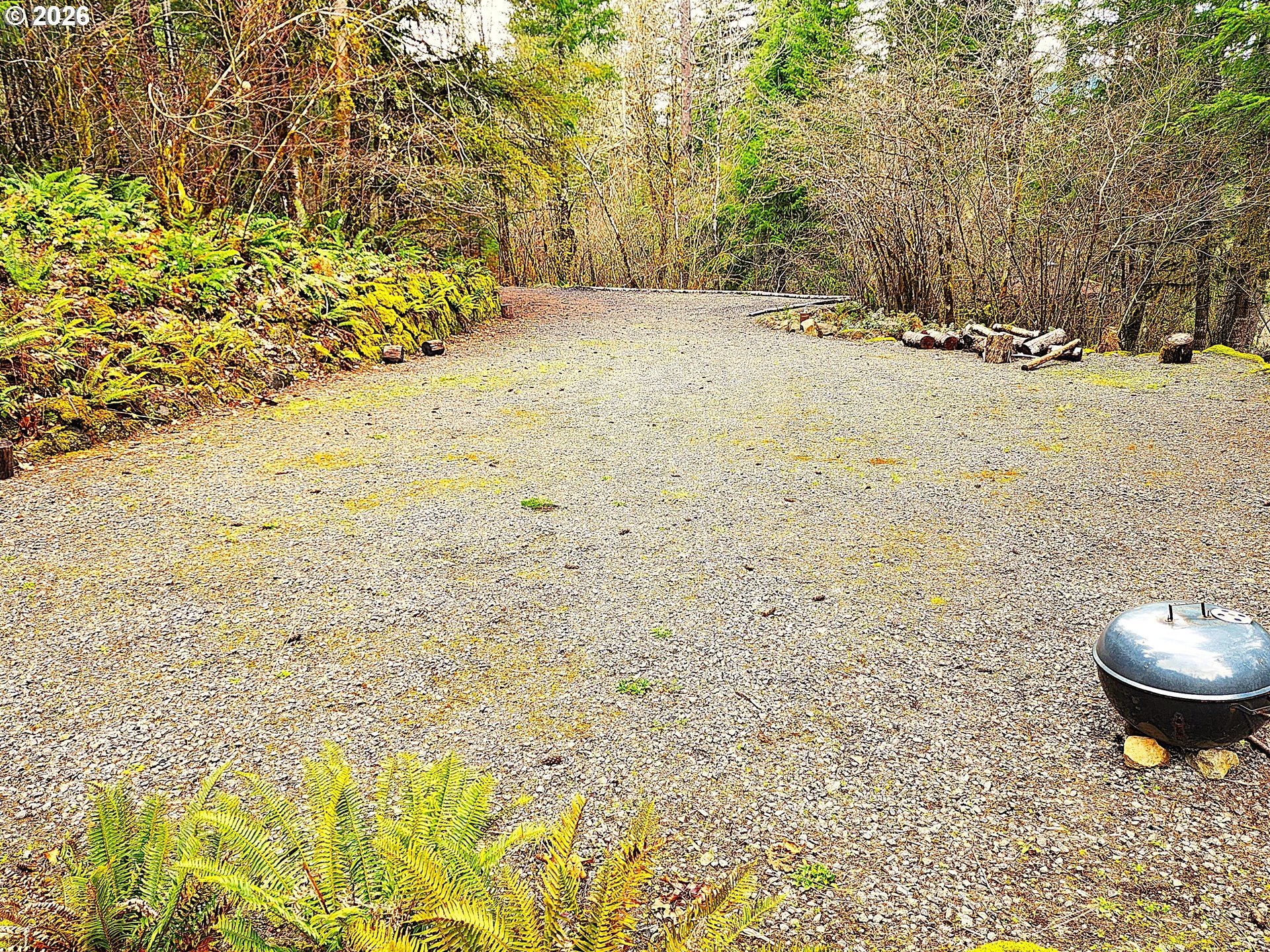 McKenzie Valley Land with Waterfall